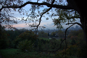 Greenwich Park - Colour