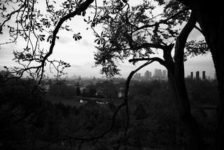Greenwich One Tree Hill