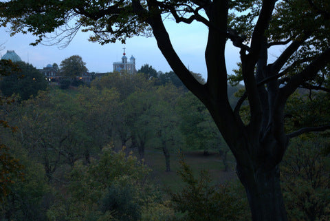 Greenwich Park - Colour