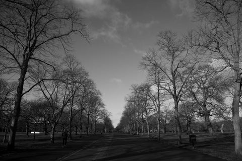 Greenwich Park