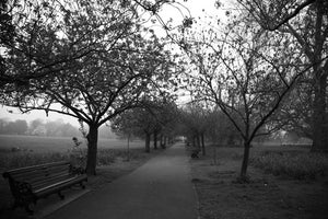 Greenwich Park