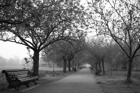 Greenwich Park