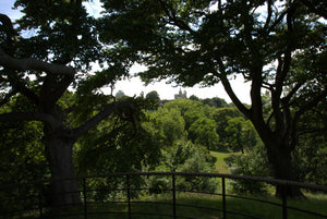 Greenwich Park - Colour