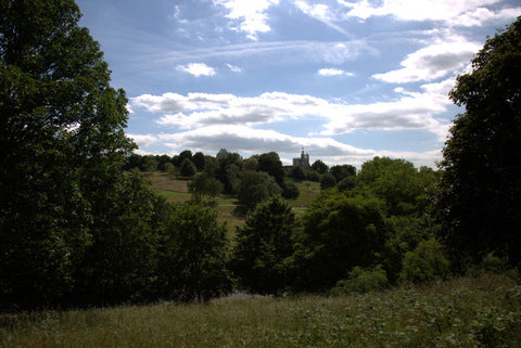 Greenwich Park - Colour