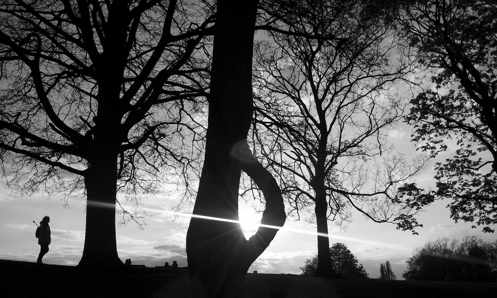 Hilly Fields Lady Walking