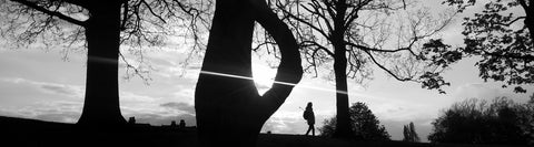 Hilly Fields Walking Lady, Panoramic