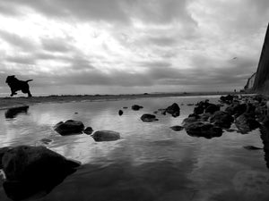 Ramsgate beach, Oscar