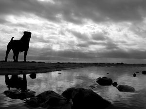 Ramsgate beach, Oscar