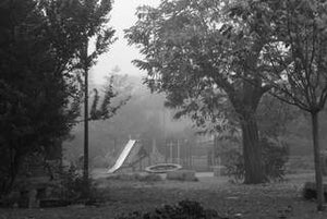Margaret McMillan Park in the Fog, Deptford