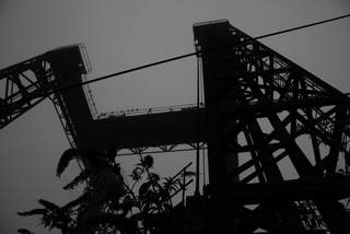 Creekside Crane in the Fog, Deptford