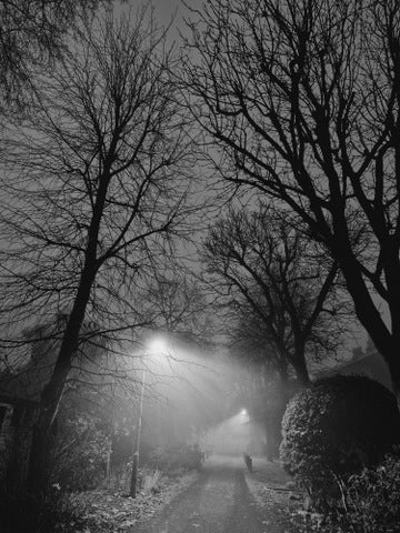 Blackheath - Early morning fog