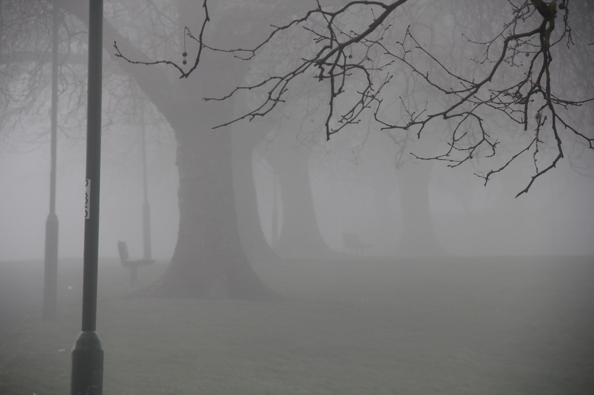 Hilly fields in the Fog Landscape, Lewisham, London