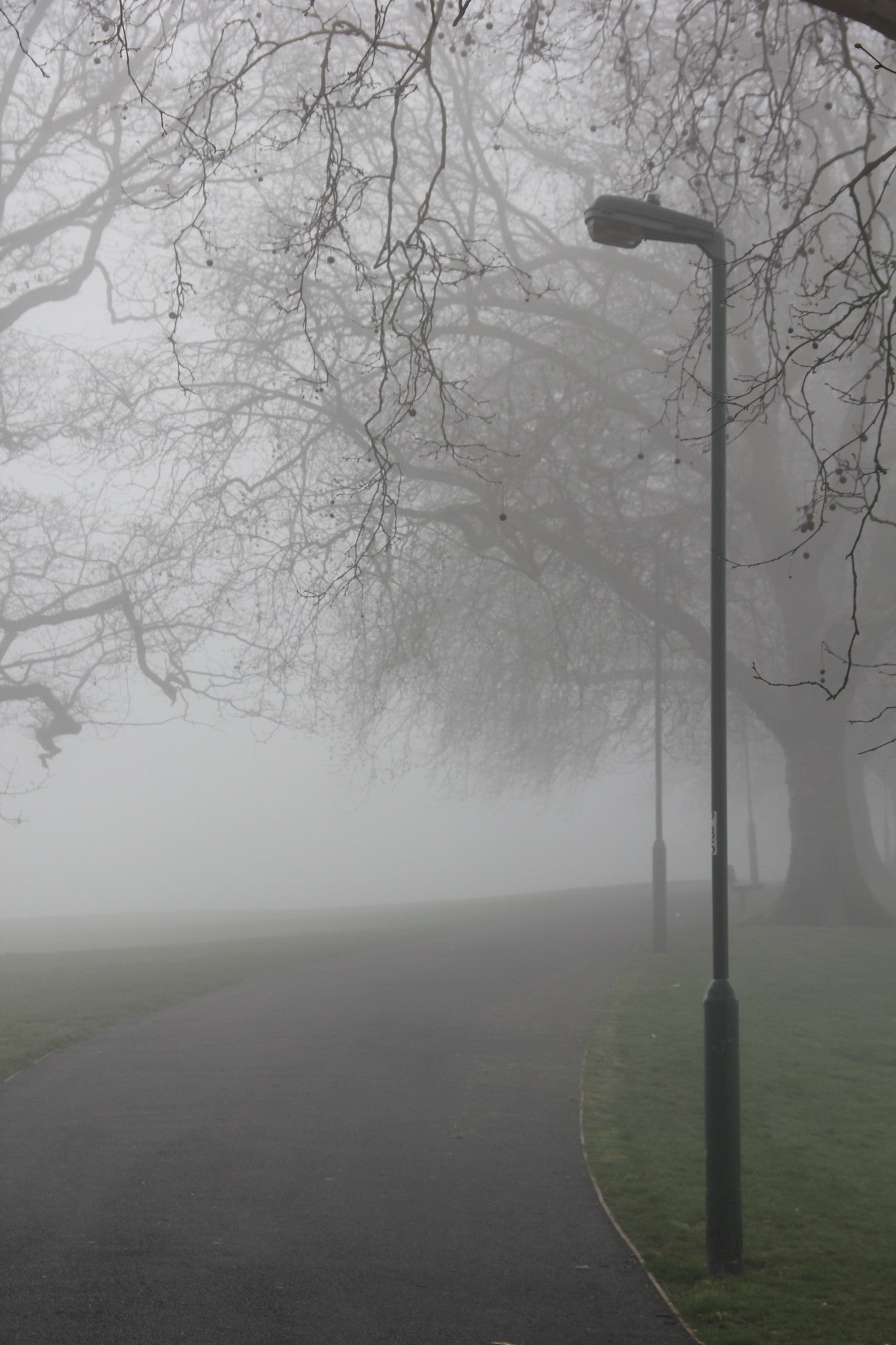 Hilly Fields in the Fog, Lewisham, London